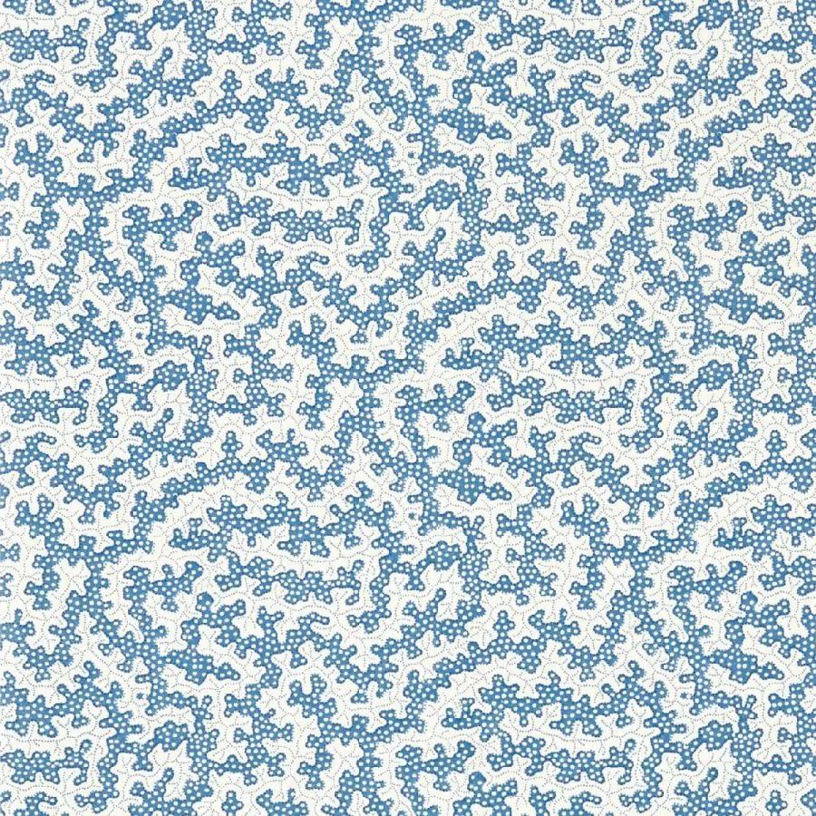 217239