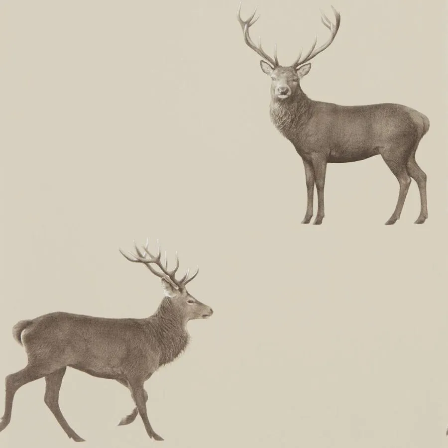 216618
