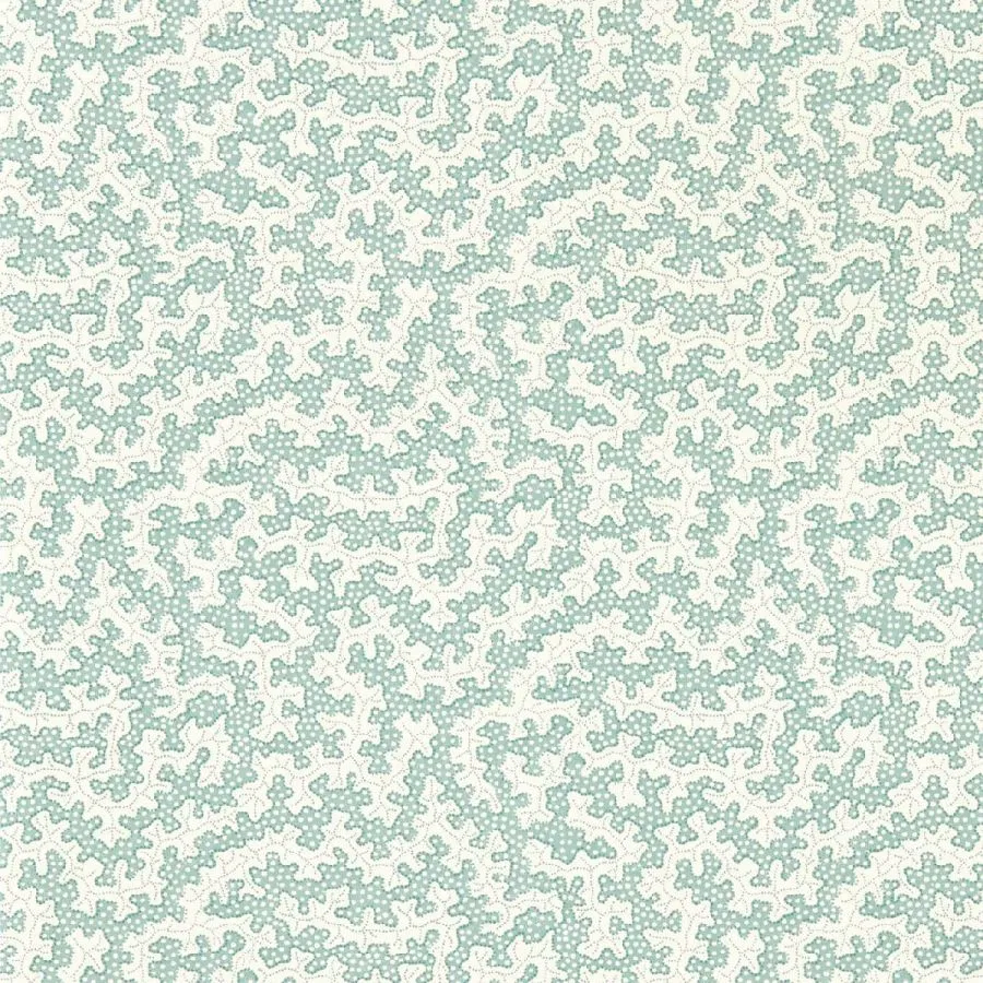 217241