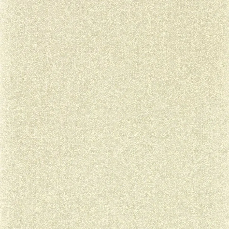 217246