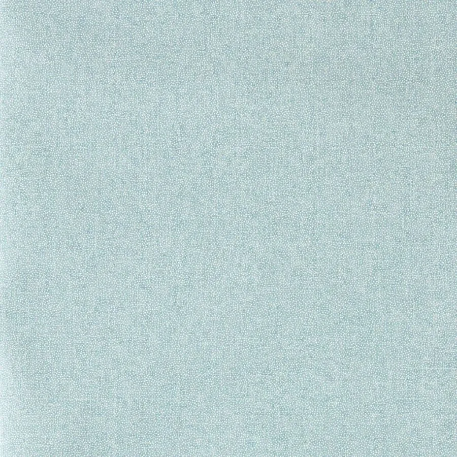 217247