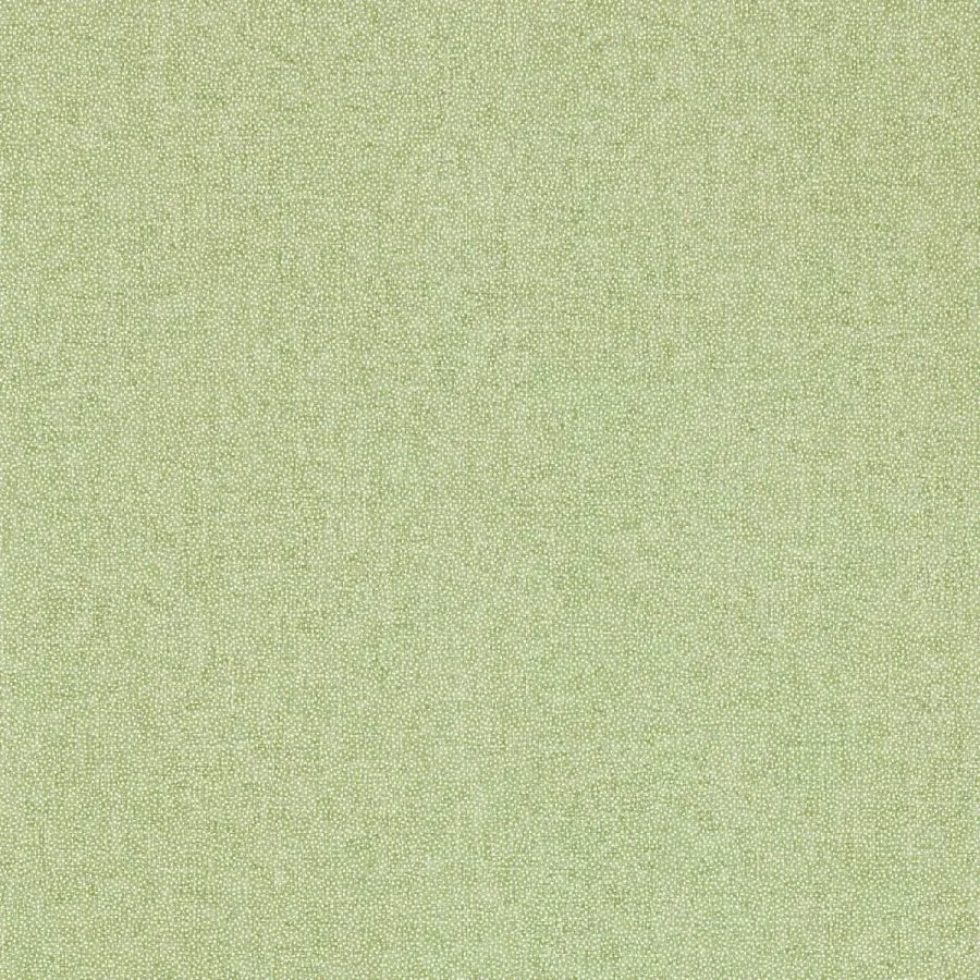 217248