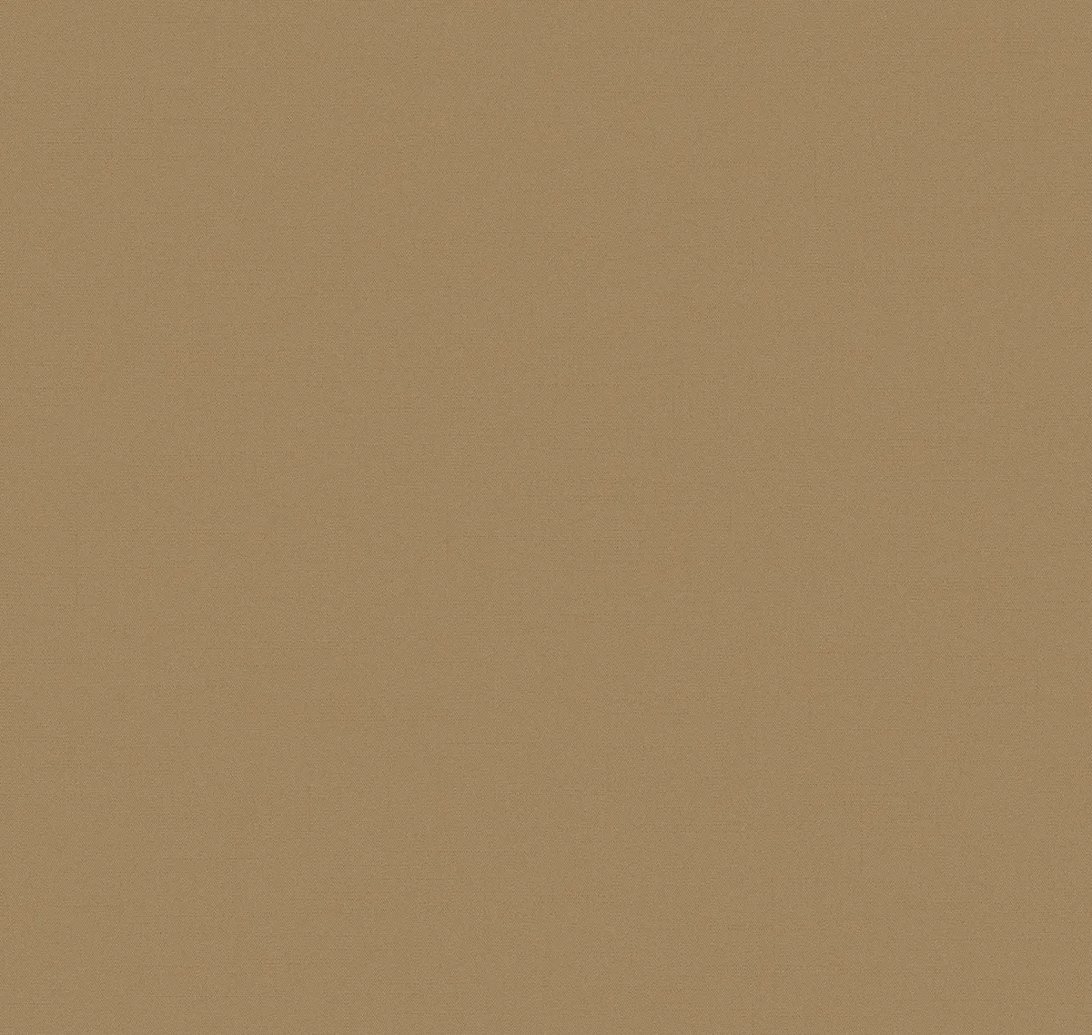 TXL3 004