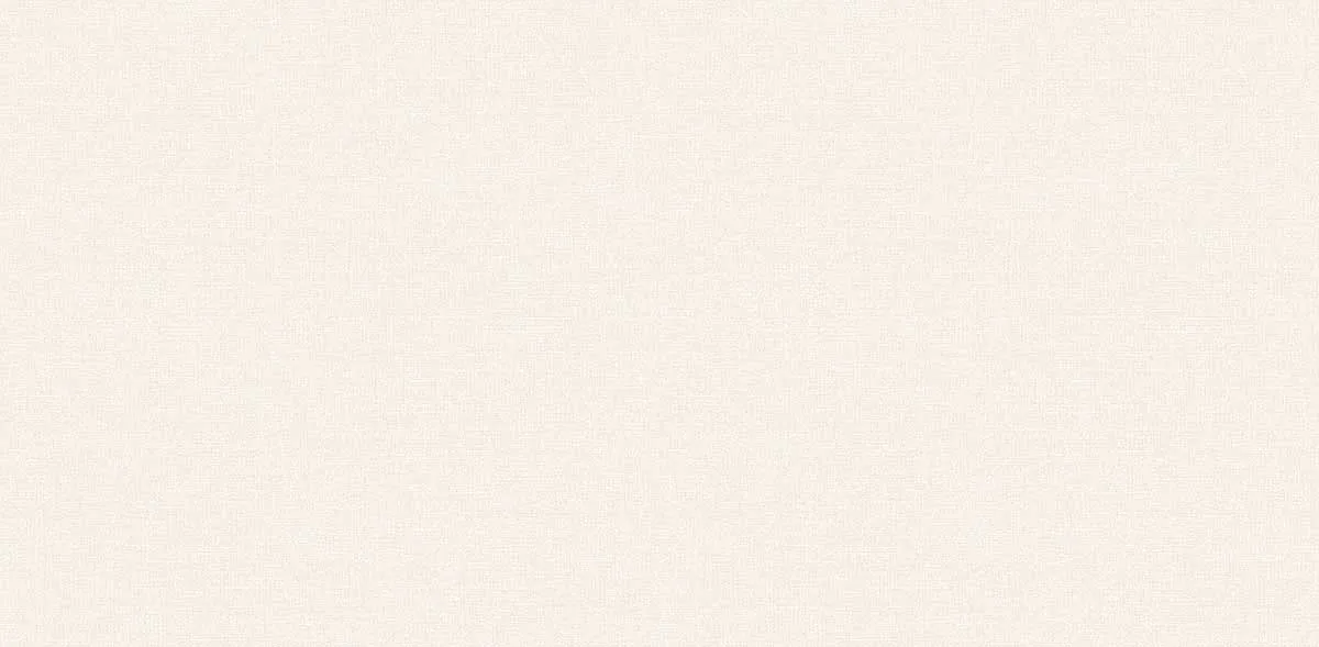 81205
