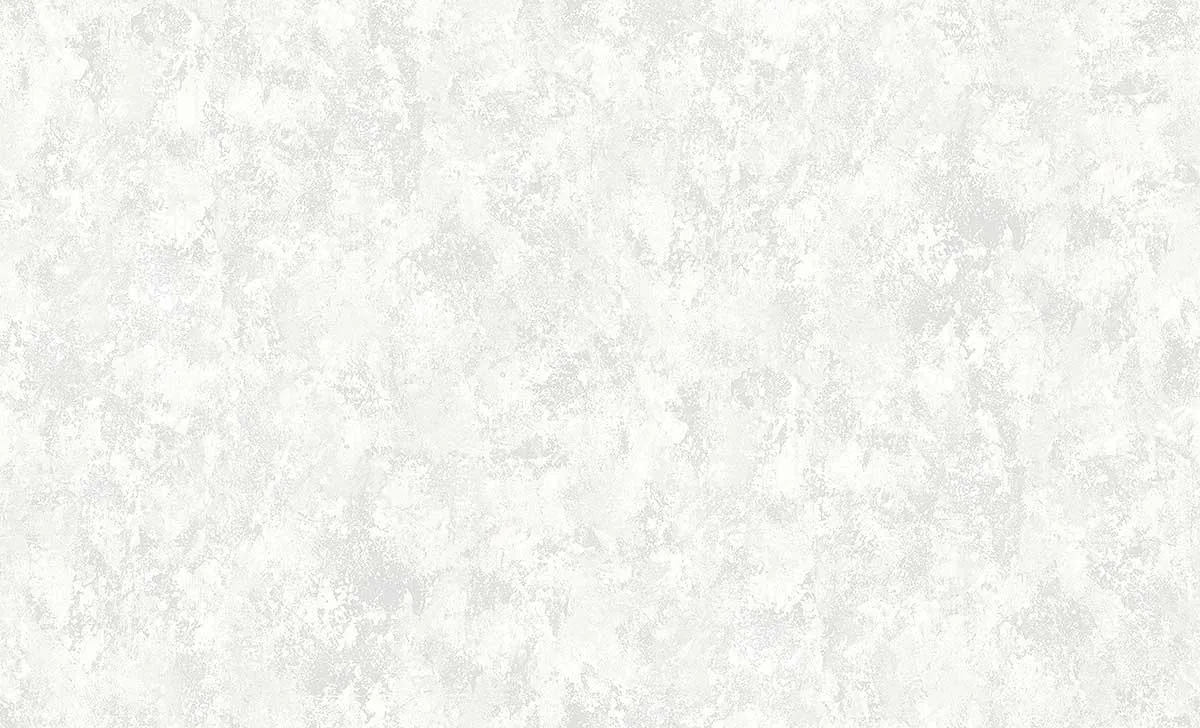 81198
