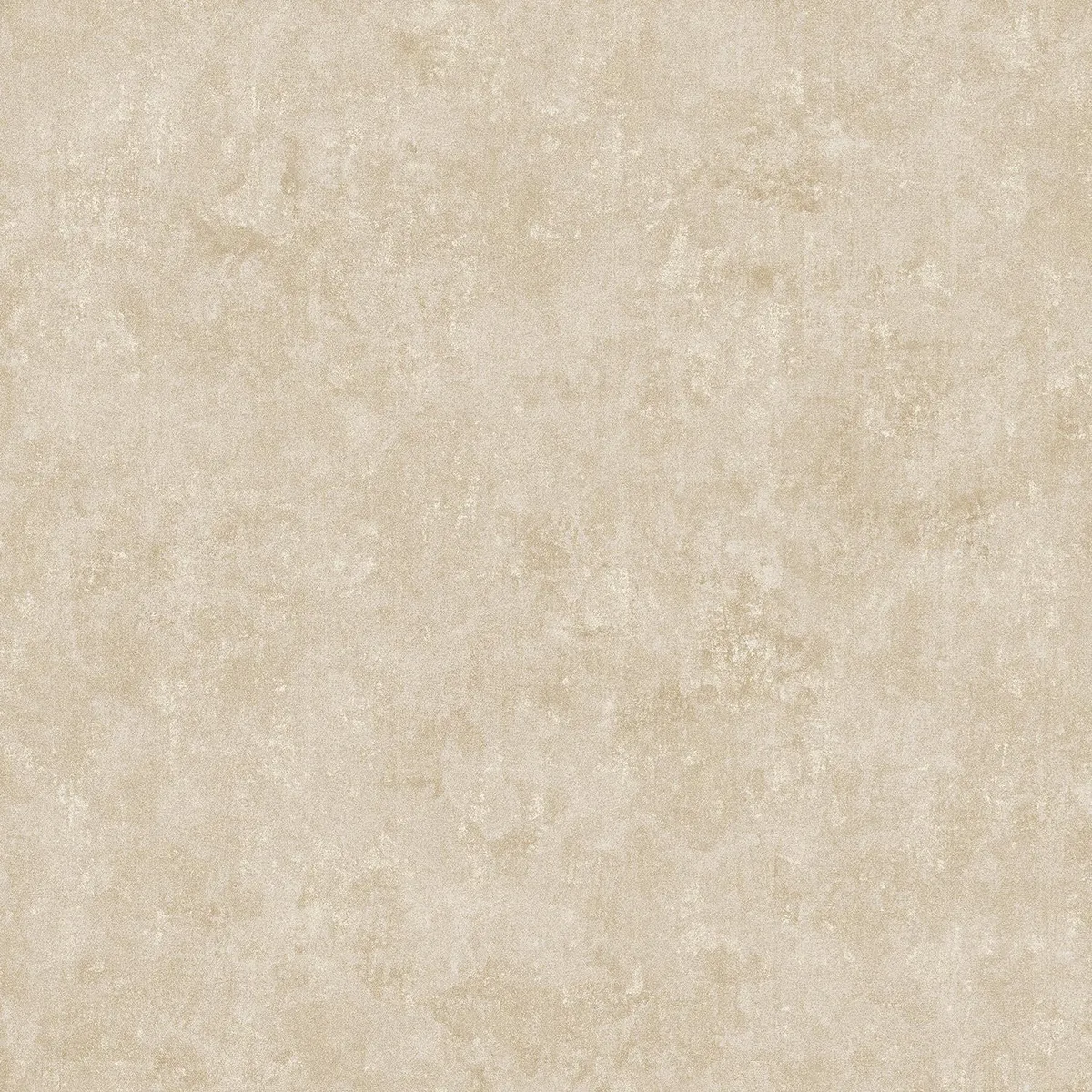 Биги