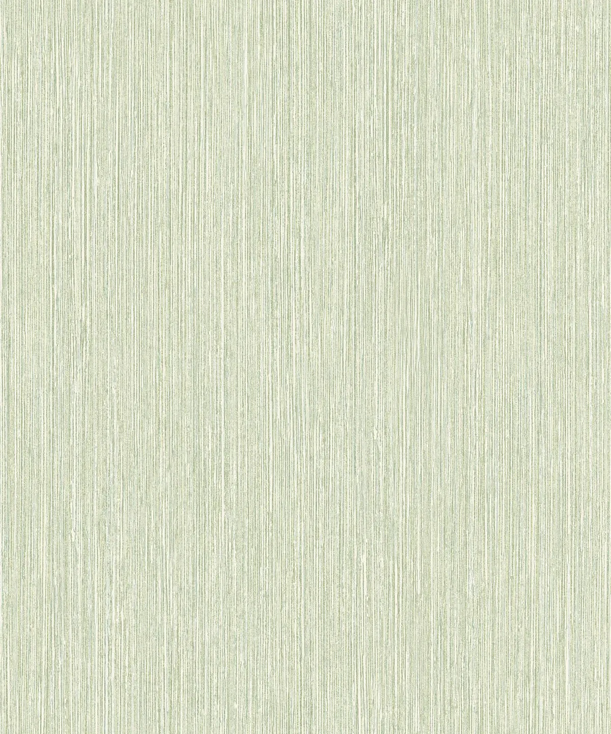 BZ11