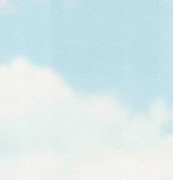 A5007