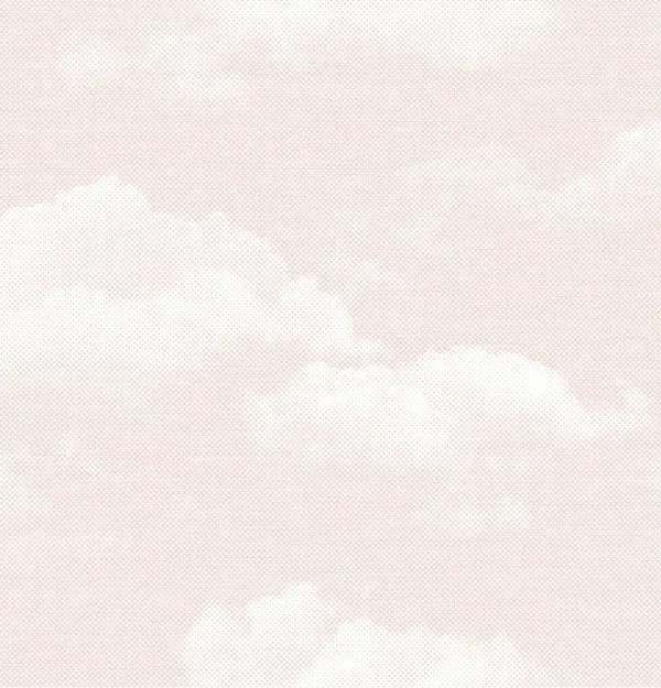 A5119