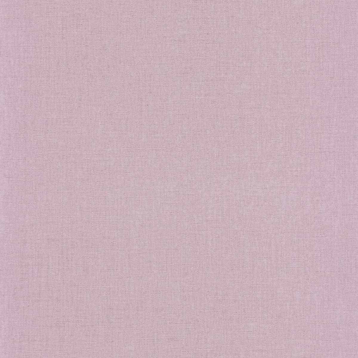 Linen Edition