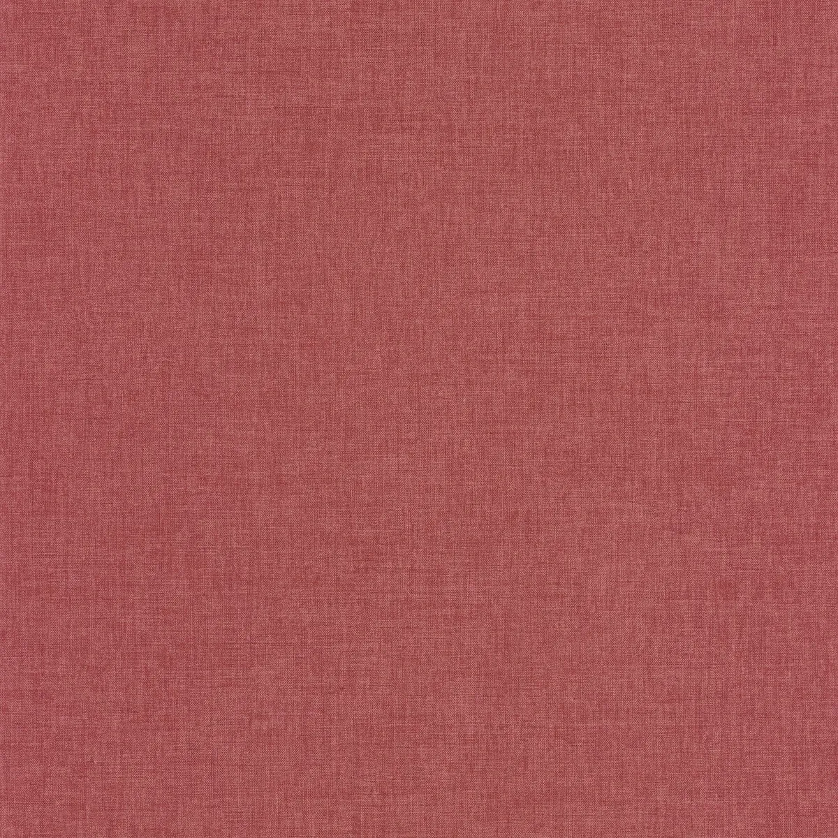 Linen Edition
