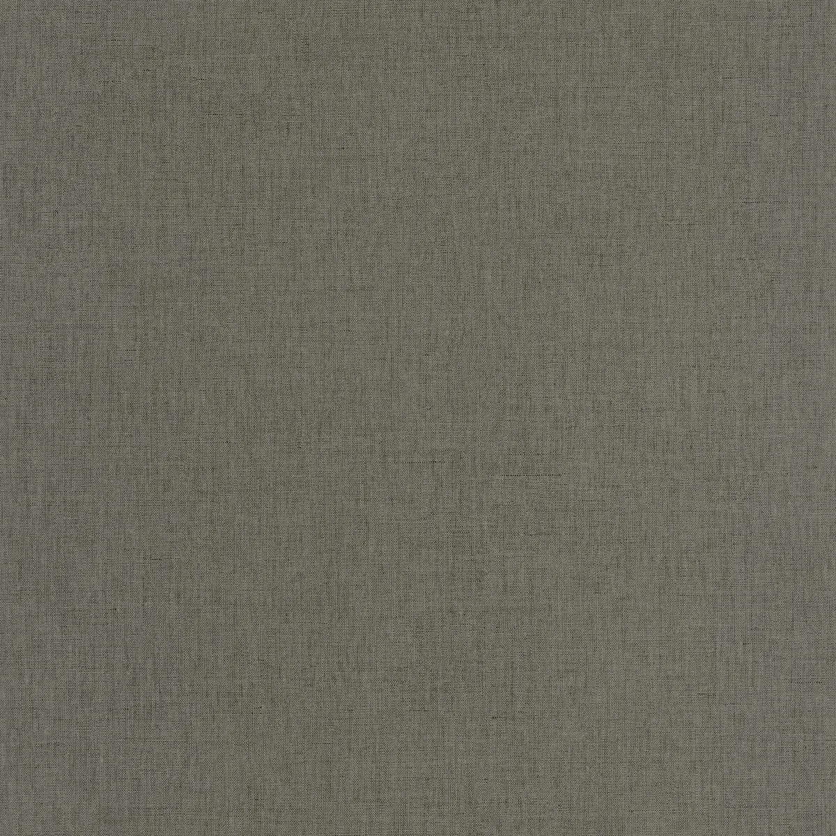 Linen Edition