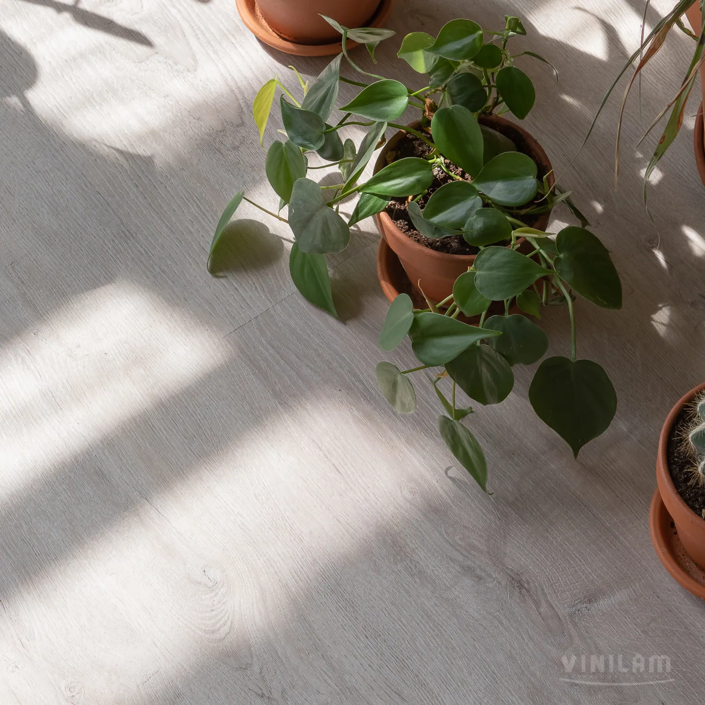Vinilam Vinilam Click Дуб Ален: в интерьере