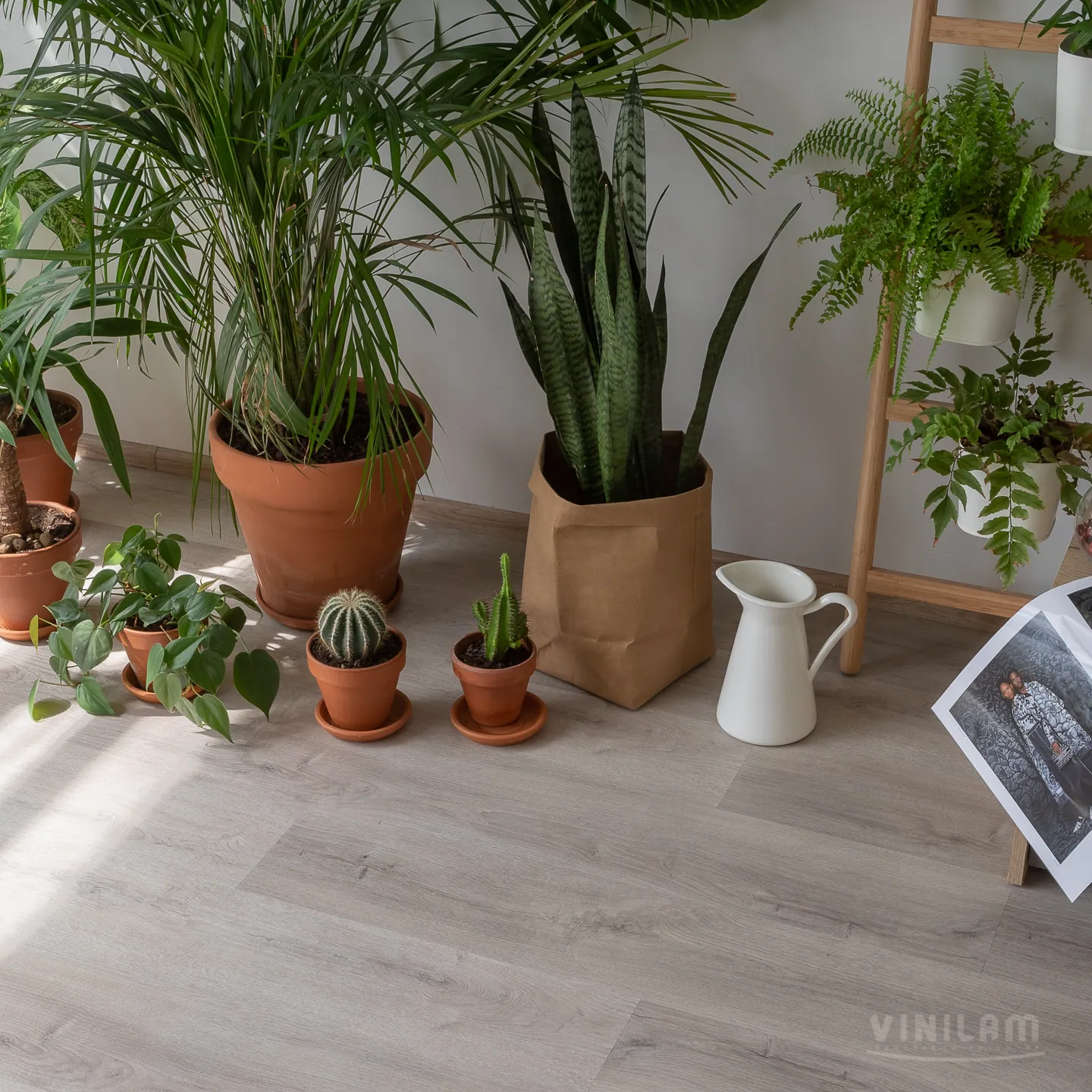 Замковая LVT Vinilam Click «Дуб Ален» с растениями на полу