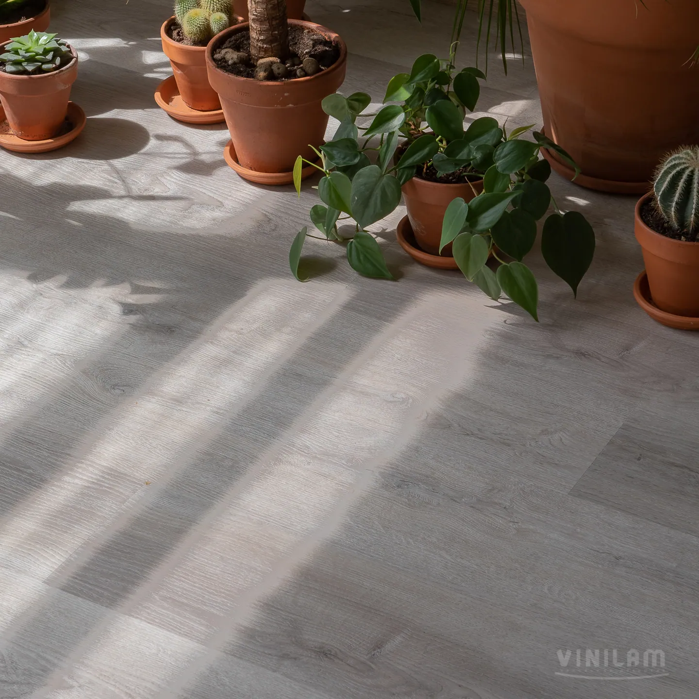 Vinilam Vinilam Click Дуб Ален: в интерьере