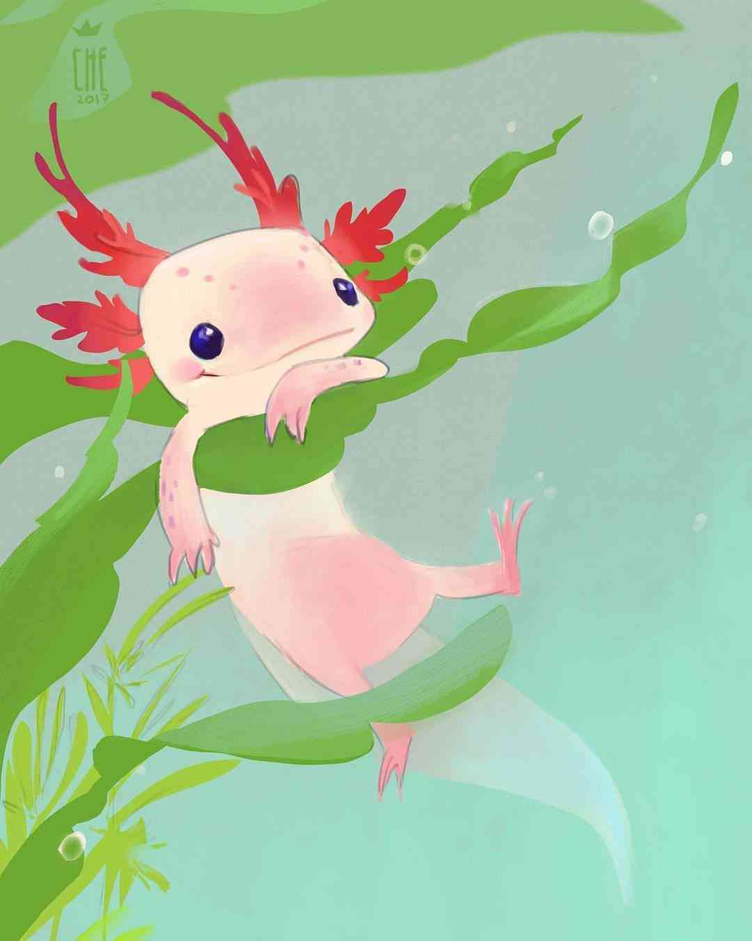 Аватар Сплюшка