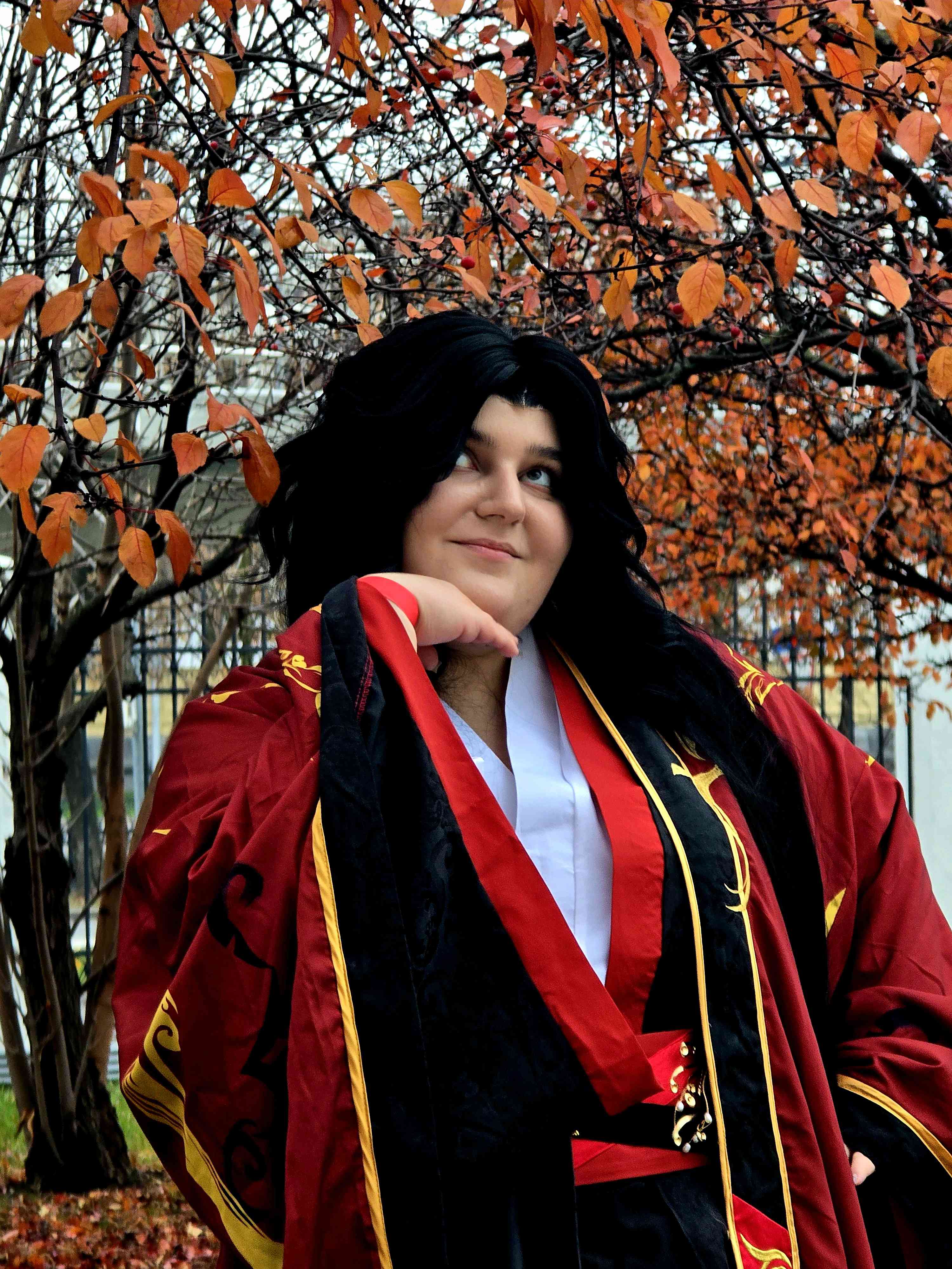 Аватар MeixueLiren