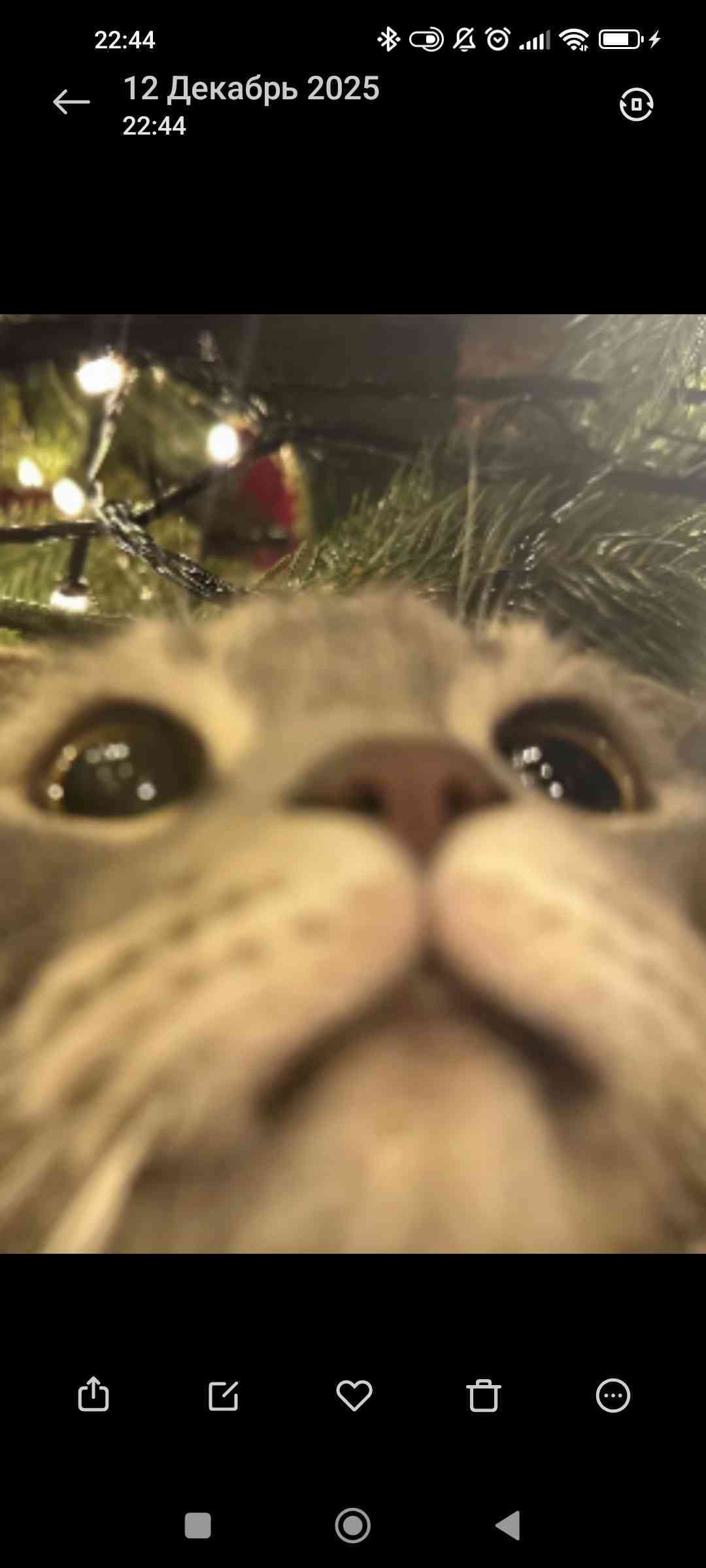 Аватар Буяна