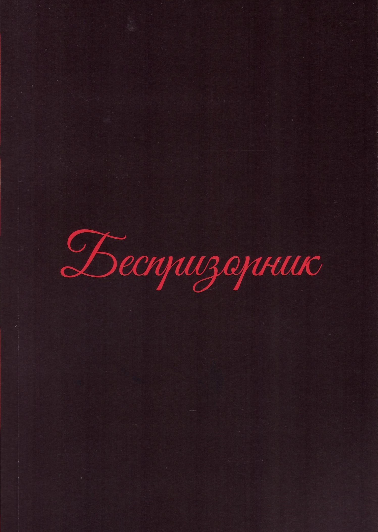 Обложка Беспризорник