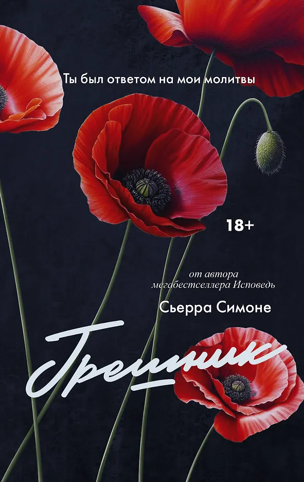 Обложка Грешник