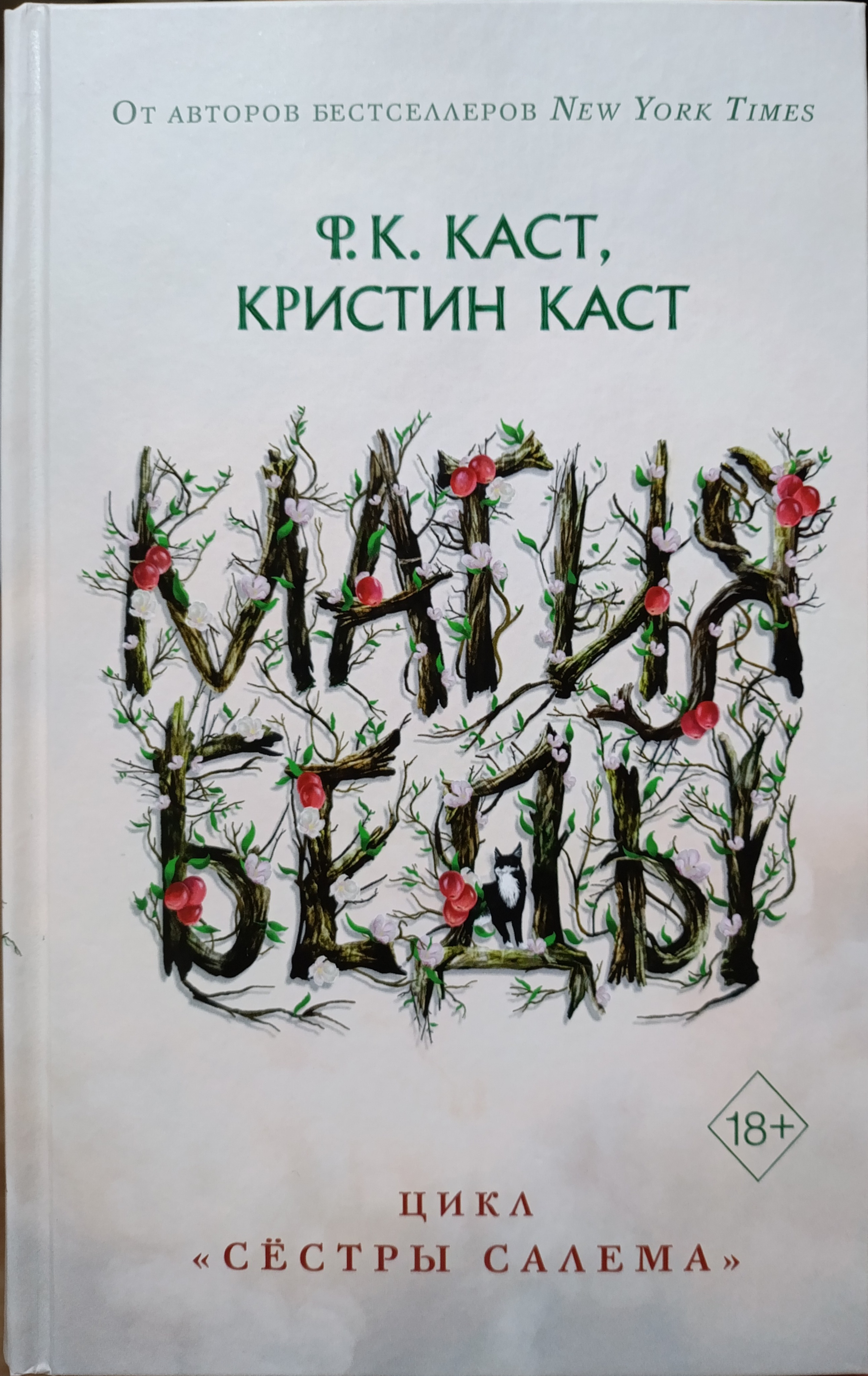 Обложка Магия беды
