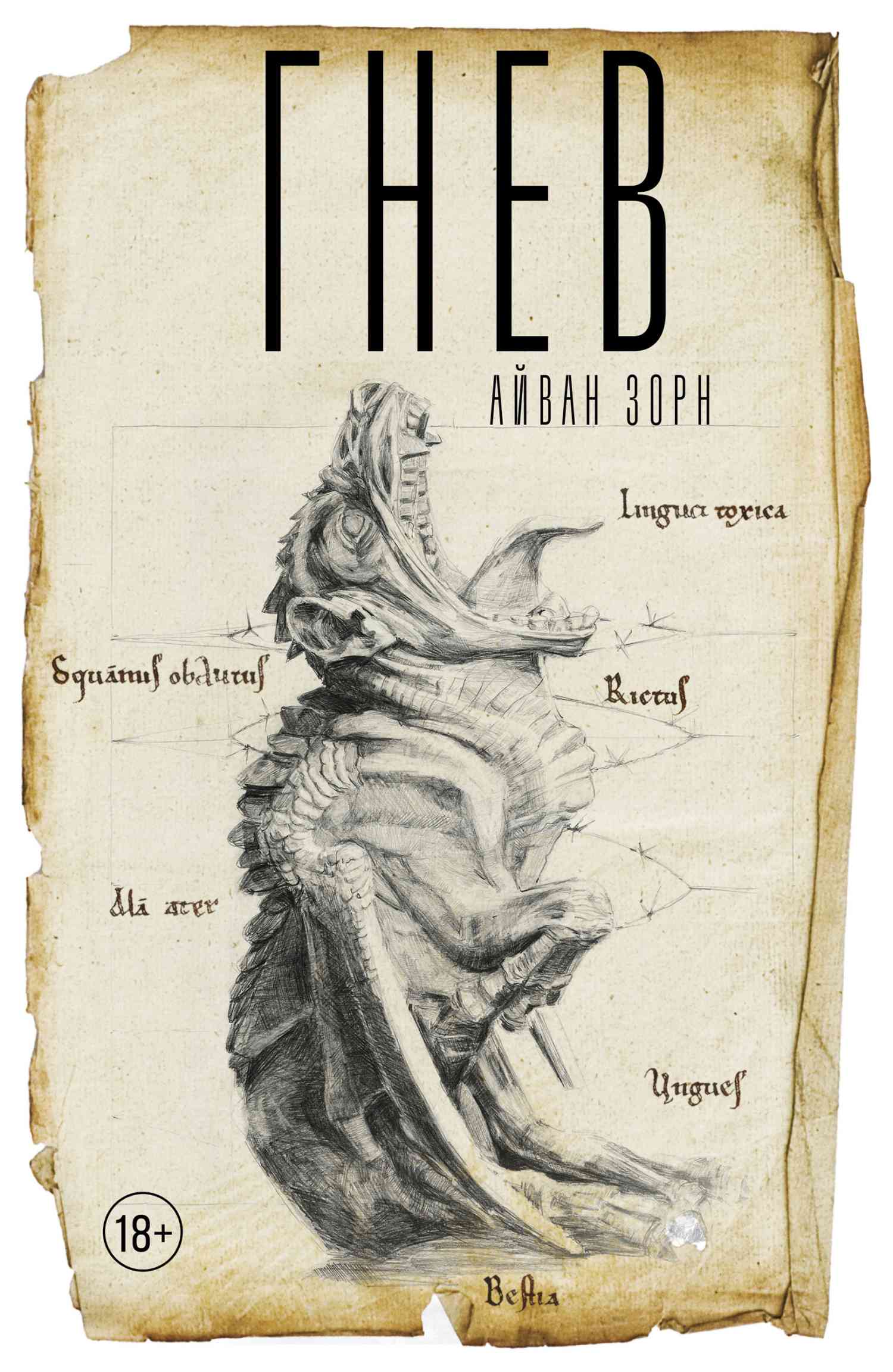 Обложка «Гнев»