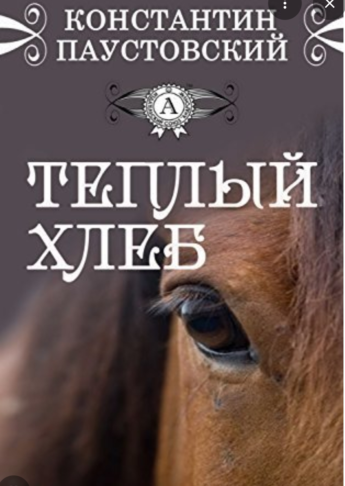 Обложка «Теплый хлеб»