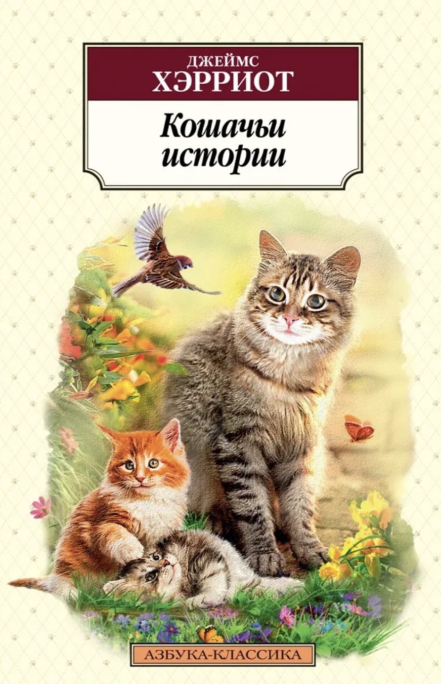 Обложка Кошачьи истории