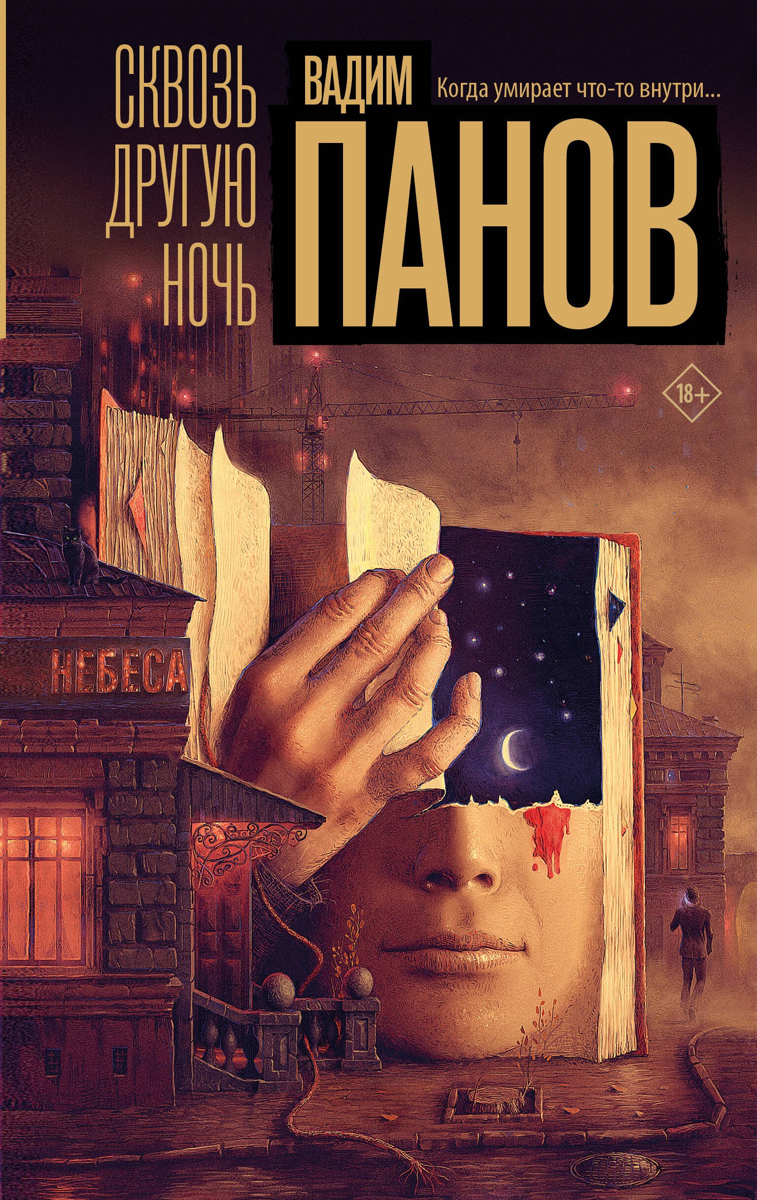 Обложка Сквозь другую ночь