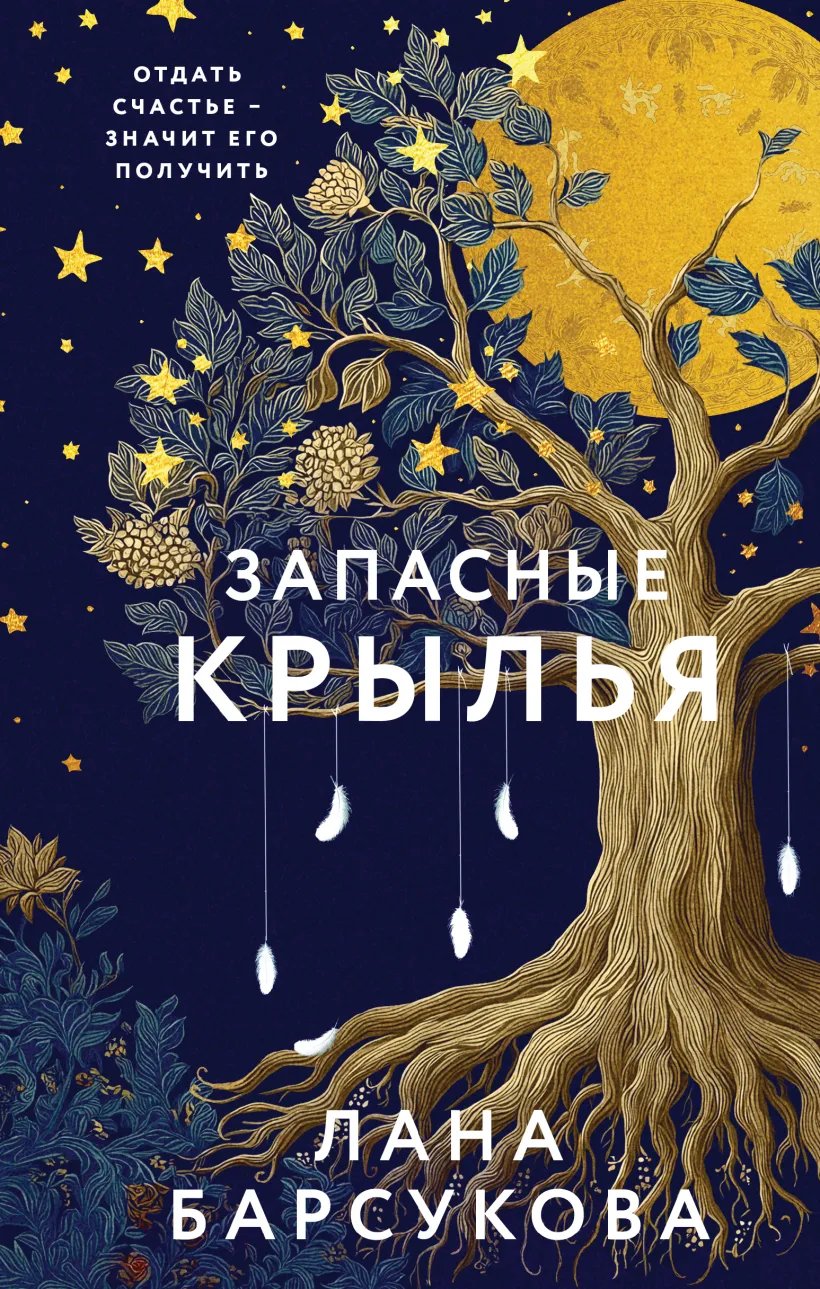 Обложка Запасные крылья