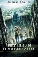 Обложка «Бегущий в Лабиринте»