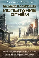 Обложка «Испытание огнем»