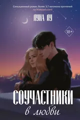 Обложка Соучастники в любви