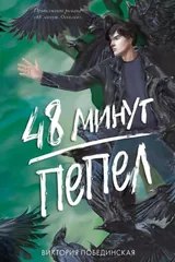 Обложка «48 минут. Пепел»