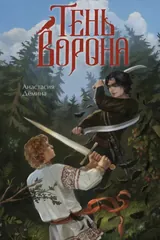 Обложка Тень ворона