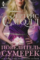 Обложка Повелитель сумерек