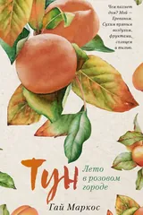 Обложка Тун. Лето в розовом городе