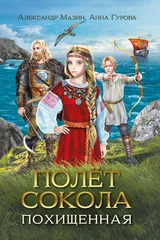 Обложка Полёт сокола