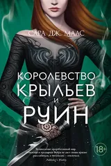 Обложка Королевство крыльев и руин
