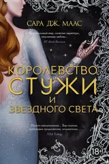 Обложка «Королевство стужи и звездного света»