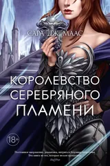 Обложка «Королевство серебряного пламени»