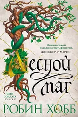 Обложка Лесной маг