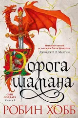 Обложка Дорога шамана