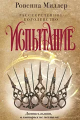 Обложка Рассекреченное королевство. Книга вторая. Испытание