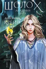 Обложка Шолох. Академия Буря