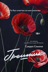Обложка Грешник