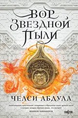 Обложка Вор звездной пыли