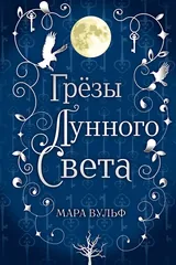 Обложка «Сага серебряного мира. Грёзы лунного света (#4)»