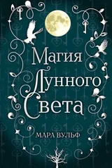 Обложка Сага серебряного мира. Магия лунного света