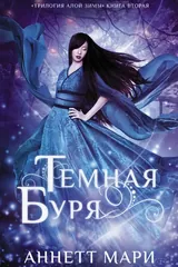 Обложка Темная буря